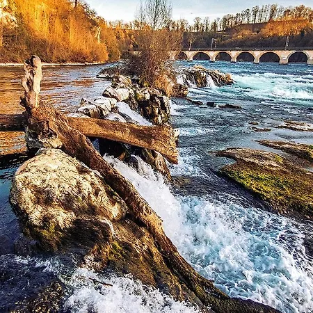 Near Rheinfall * Jestetten