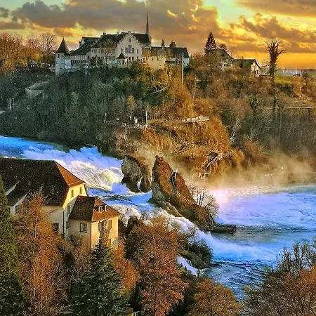 Near Rheinfall *
