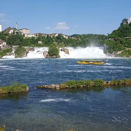 Near Rheinfall アパート *