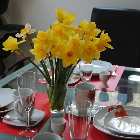 Near Rheinfall Jestetten