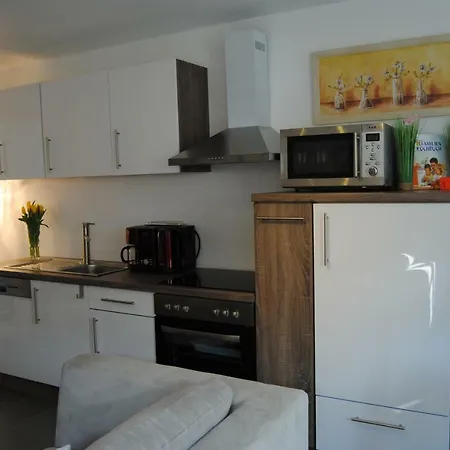 Near Rheinfall شقة