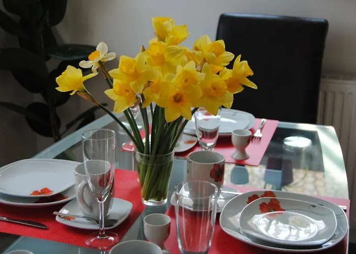 Near Rheinfall جيستيتين