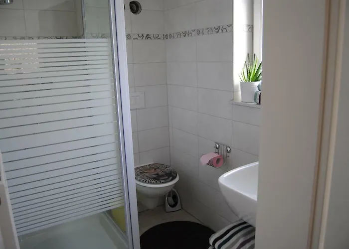 Near Rheinfall 公寓