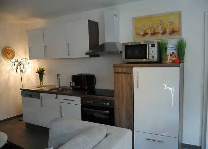 Near Rheinfall 公寓