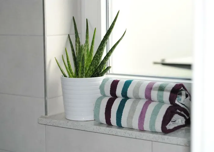 Near Rheinfall * 耶斯特滕